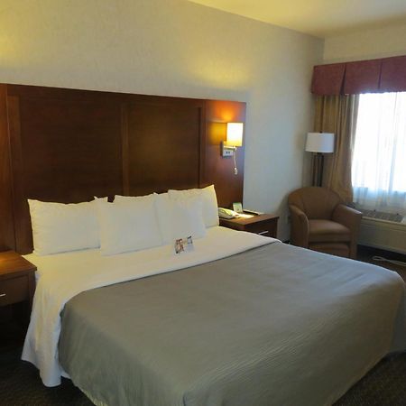 Comfort Inn San Jose International Airport Værelse billede